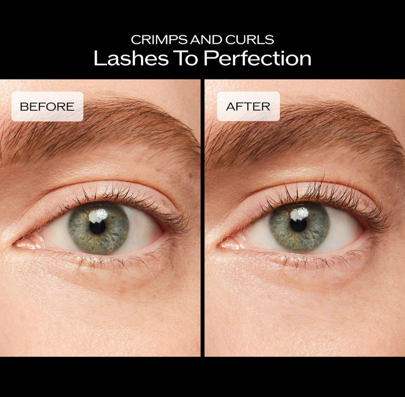 Eyelash Curler
